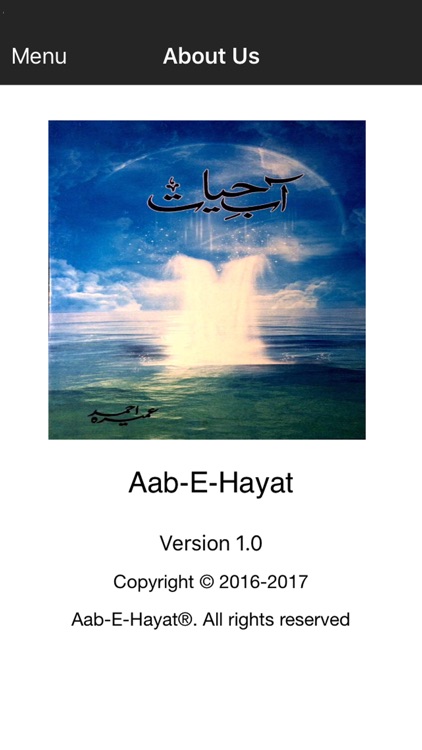Aab-E-Hayat screenshot-4