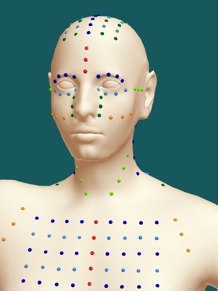 Shiatsu Points 3D Map