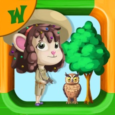 Activities of Animals Forest Wonderwood