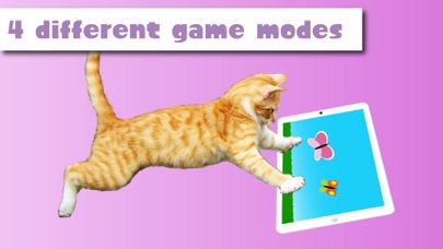 HappyCats Pro - Game for cats screenshot 3