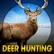 Icon Deer Hunting Wild Animal Shoot