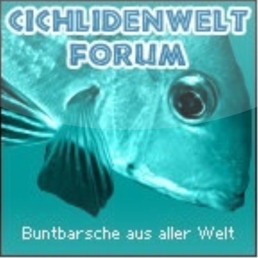 Cichlidenwelt