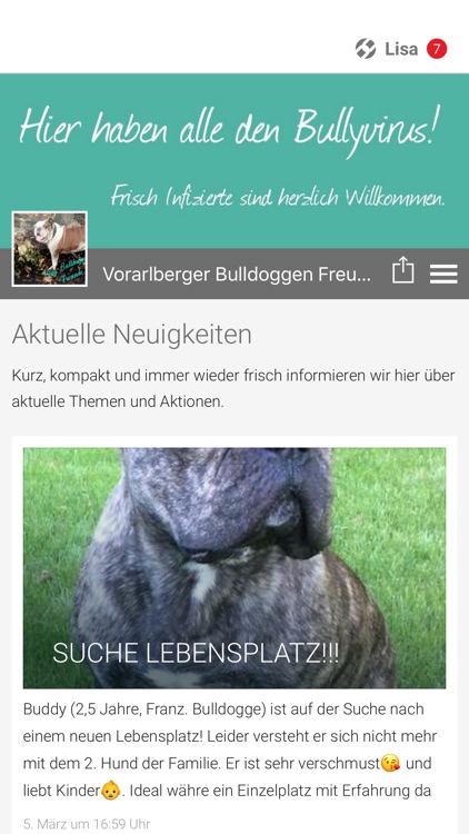 Vorarlberger Bulldoggen