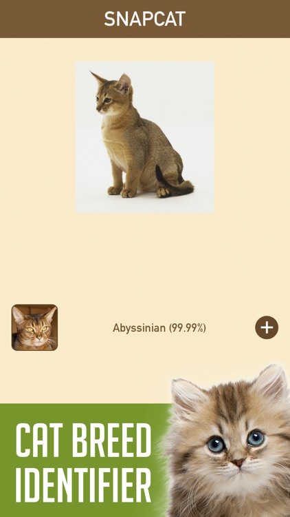 SnapCat - Cat Breed Identifier