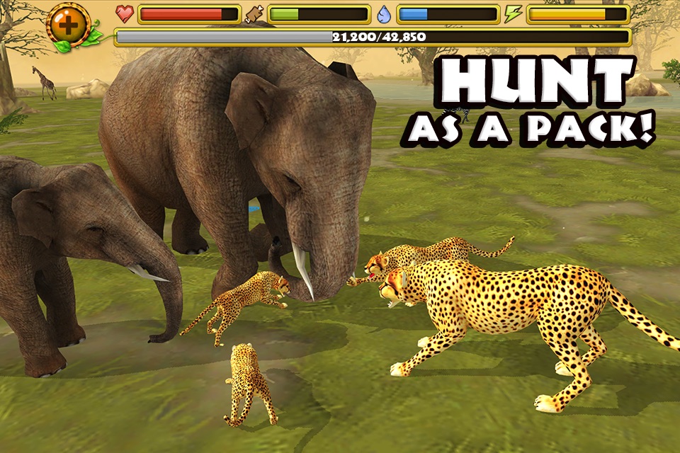 Cheetah Simulator screenshot 2