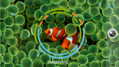 FishSnap - Fish Identification screenshot 3