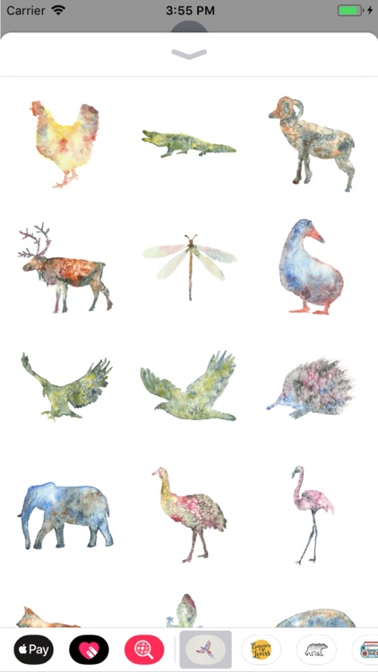 Watercolor Animals and Florals screenshot-6