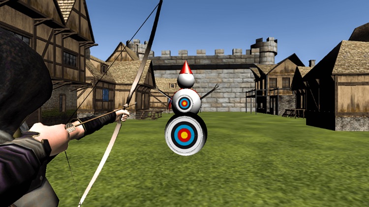 Archery Training Match