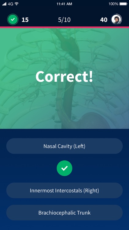 Quiz Anatomy