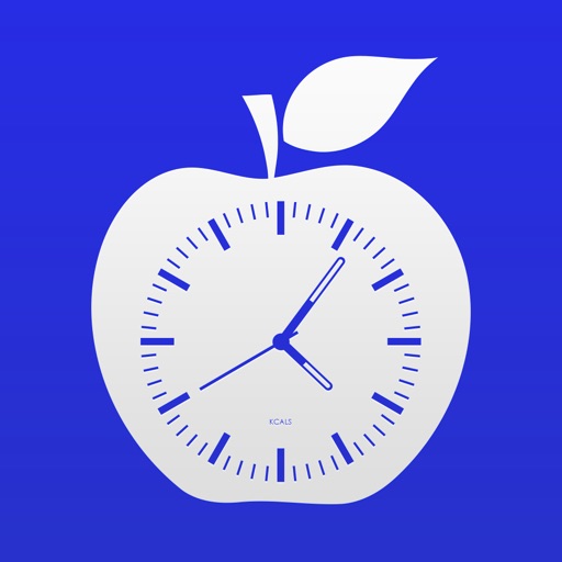 ChronoBurn: Real-Time Counter