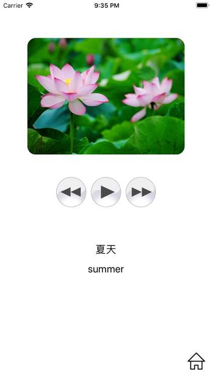 Pure Chinese - Learn Chinese screenshot-3