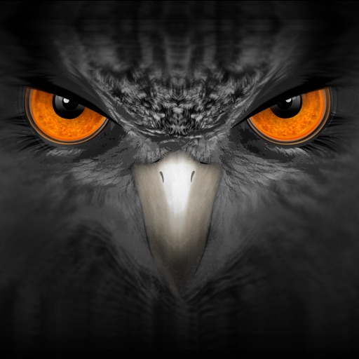 EagleEyes-plus