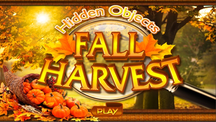 Spot & Spy Objects Fall Harvest & Autumn Secrets