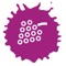 WineWizzard will help you to keep track of your tasted wines and the stock of your own wine cellar
