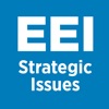 EEI Strategic Issues