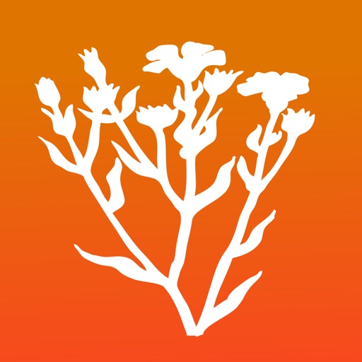 Bachblüten für Kinder PRO Download