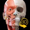 Free access to the following 3D anatomical models: