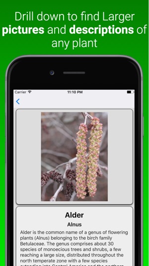 Plant Dictionary(圖2)-速報App