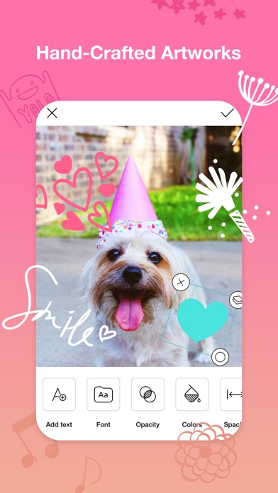 Pet Canvas screenshot 3