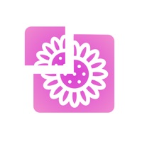 Instagram 용 InGrid