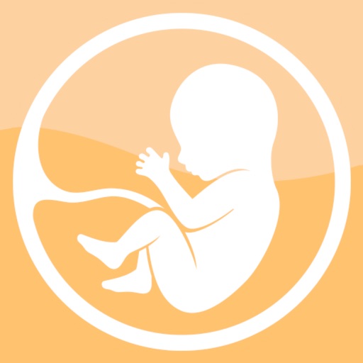 pregnancy baby tracker