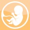 The Bemom pregnancy calendar will allow you to track the course of your pregnancy and the development of your baby week by week through your entire pregnancy, from conception to childbirth