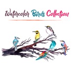 Birds Stickers