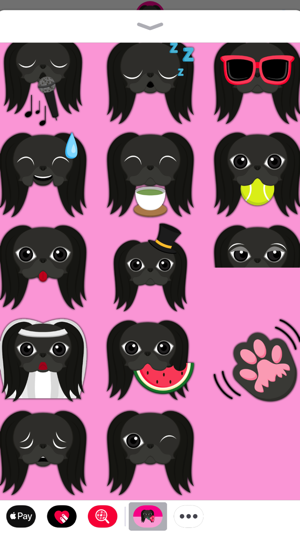 Black Japanese Chin(圖4)-速報App