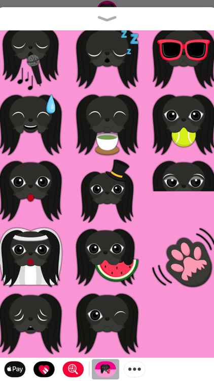 Black Japanese Chin screenshot-3