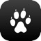 If your volunteer or member organization uses Digital Cheetah's volunteer or member management system, our Cheetah app is the fastest way to access Digital Cheetah