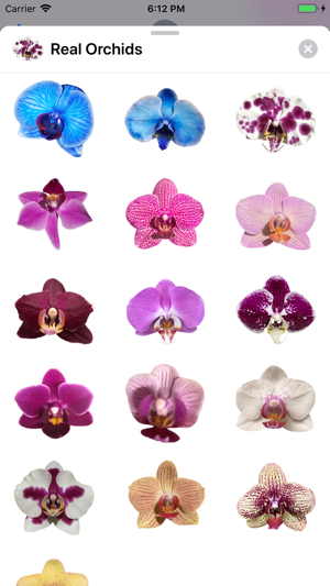 Real Orchids(圖2)-速報App