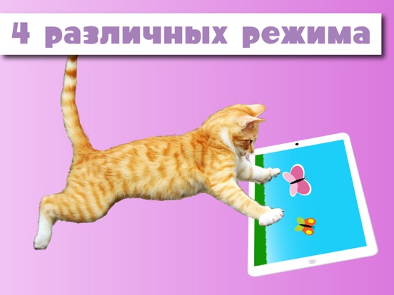Скачать HappyCats Pro игра для кошек