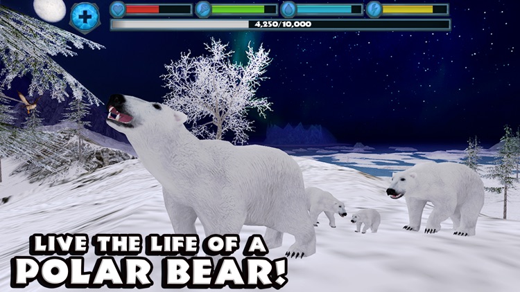 Polar Bear Simulator screenshot-0