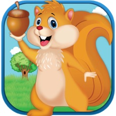 Activities of Speedy Squirrel Wall Nut Hunt Race Against Traffic Challenge