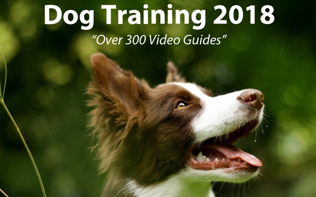 Dog Training 2018