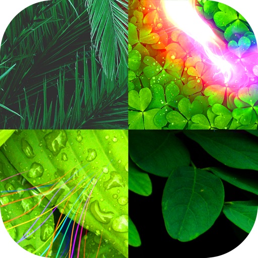 green wallpapers icon
