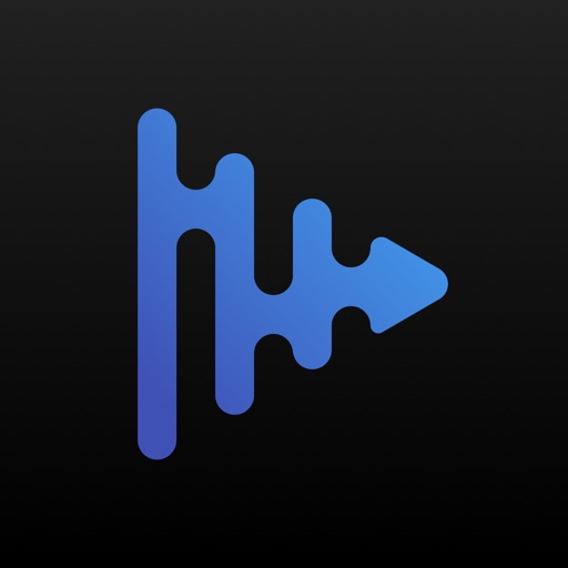 Meloman - music player icon