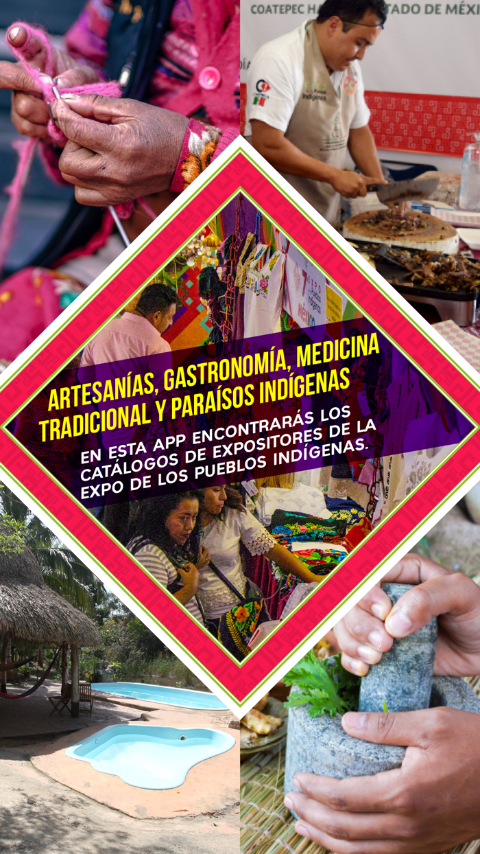 Expo de los Pueblos Indígenas