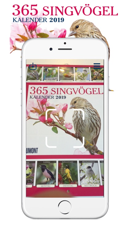 365 Singvögel 2019 – DuMont