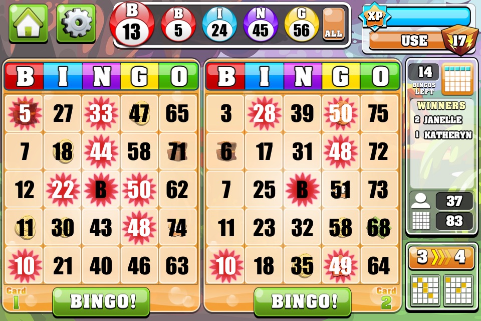 Bingo Casino - Las Vegas Bingo screenshot 3