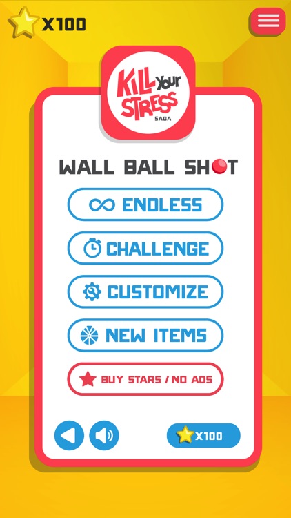 Wall Ball Shot