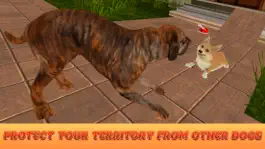 Game screenshot Corgi Stray Dog Simulator hack