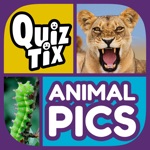 QuizTix Animal Pics Quiz
