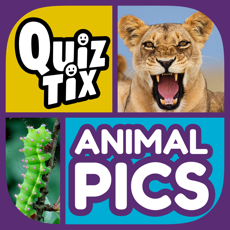 Activities of QuizTix: Animal Pics Quiz