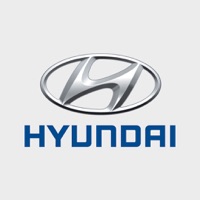 Hyundai Service Guide ne fonctionne pas? problème ou bug?