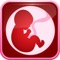 Pregnancy Help & Baby Tools to calculate and track pregnancy, birth & infancy