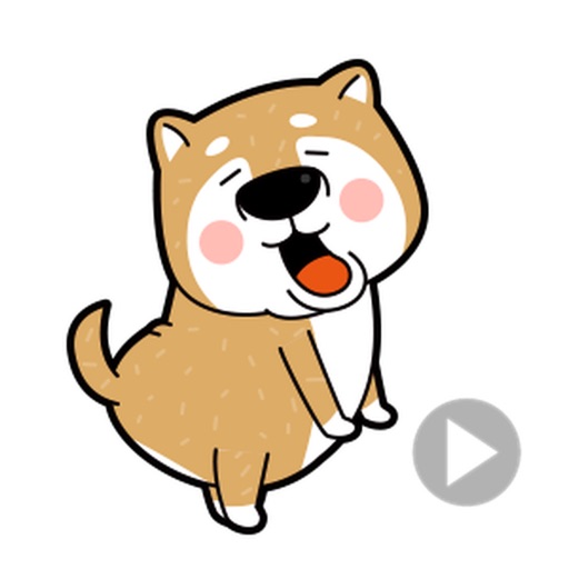 A Funny Shiba Inu Dog Stickers icon
