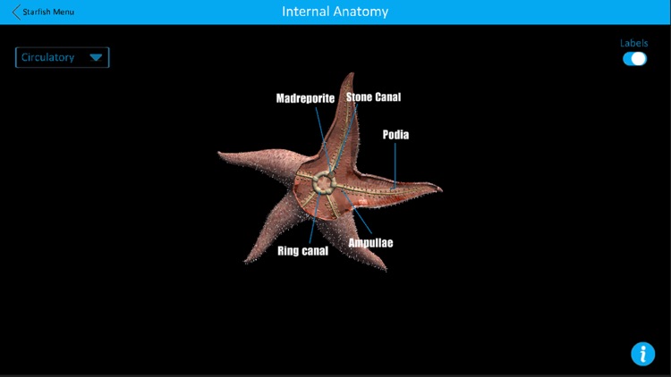 Dissection Lab screenshot-6