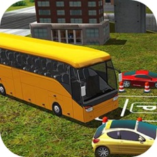 Activities of Public Bus Driving Skill
