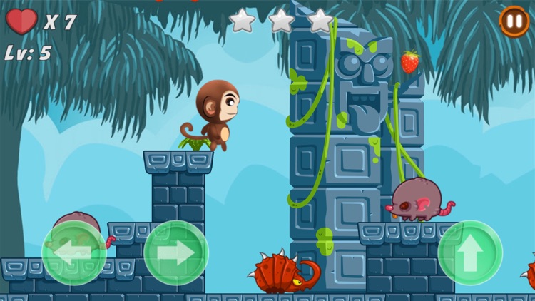 Jungle Monkey Adventure